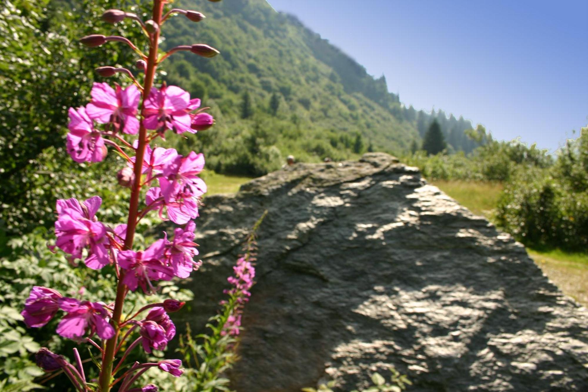 House Hannes Schneider Stuben Stuben am Arlberg Exterior photo